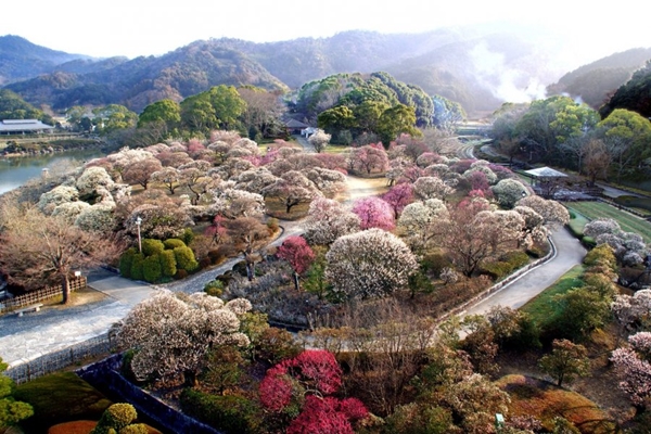 Ymca日本旅遊 四國山陽雙世界遺產之旅