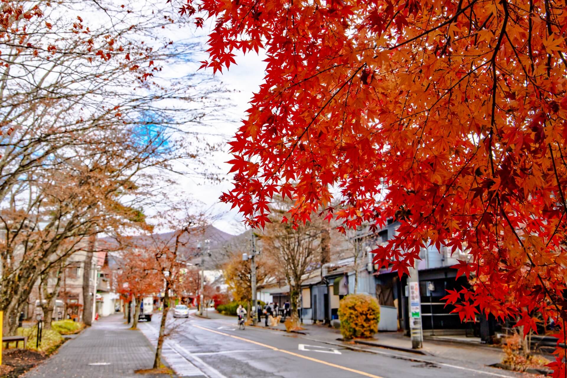 輕井澤度假勝地賞楓之旅